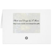 Beauty in NJ (Back Horizontal)