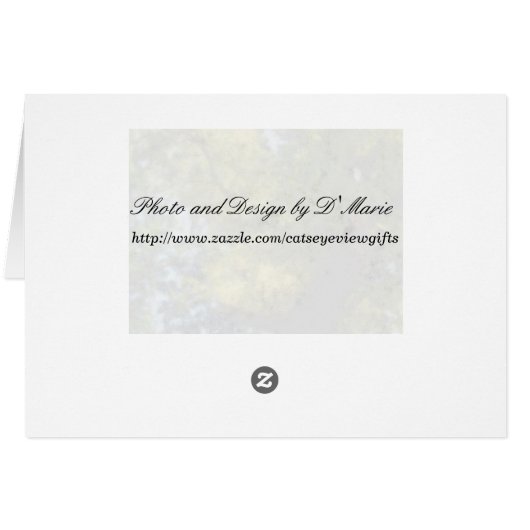 Beauty in NJ (Back Horizontal)