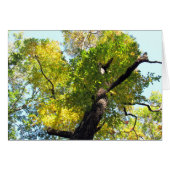 Beauty in NJ (Front Horizontal)