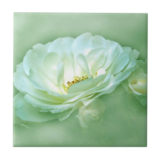 BEAUTY IN THE MIST - GREEN CERAMIC TILE (Front)