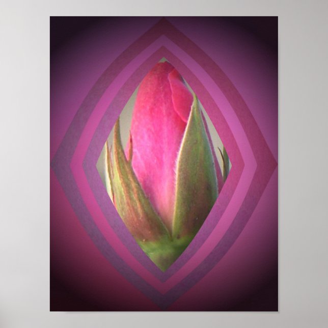 Beauty in the Shadows Poster (Front)