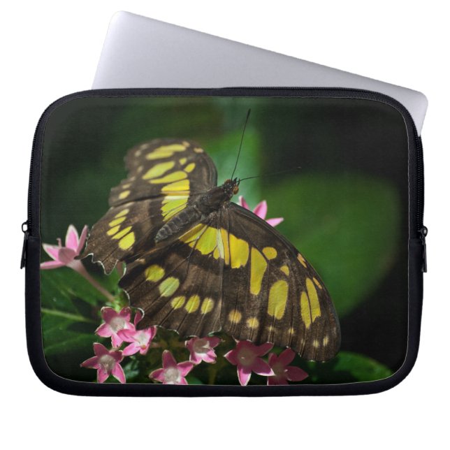 Beauty in the Stars Laptop Sleeve (Front)