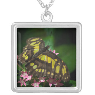 Beauty in the Stars Necklace