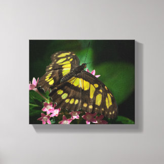 Beauty in the Stars Wrapped Canvas Print