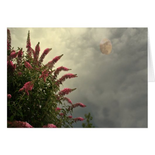 Beauty In The Storm Cards (Front Horizontal)