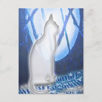 Beauty In White Postcard by DanceswithCats at Zazzle