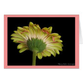 Beauty Inside and Out (Front Horizontal)