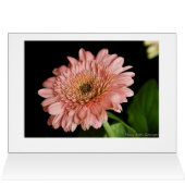 Beauty Inside and Out (Inside Horizontal (Top))