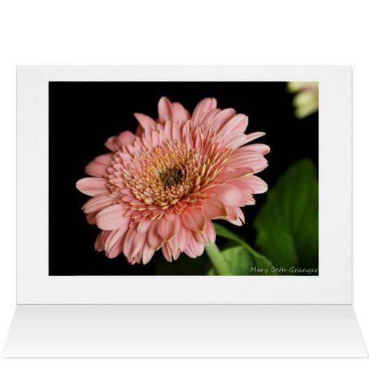 Beauty Inside and Out (Inside Horizontal (Top))