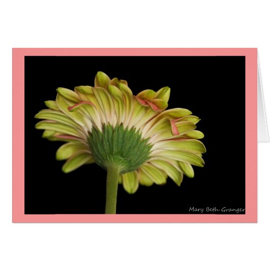Beauty Inside and Out Cards (Front Horizontal)