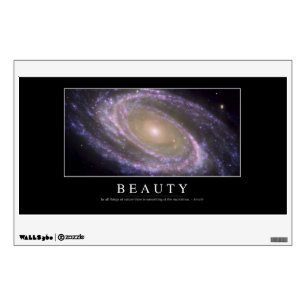 Beauty: Inspirational Quote 2 Wall Decal