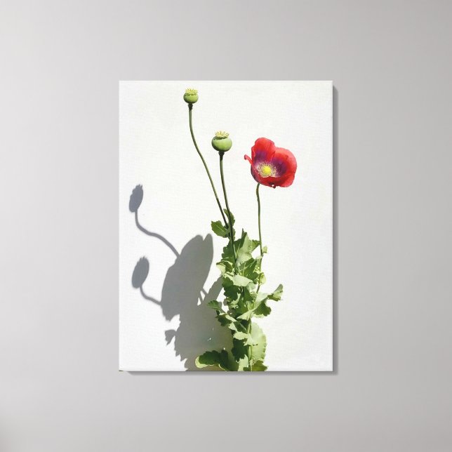 Beauty is also the Beast. Canvas Print (Front)