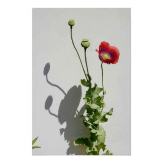 Beauty is also the Beast. Poster