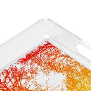 Beauty is everywhere sunset silhouette trees acrylic tray