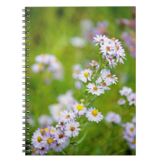 Beauty Line Notebook