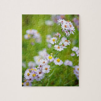 Beauty Line Puzzle