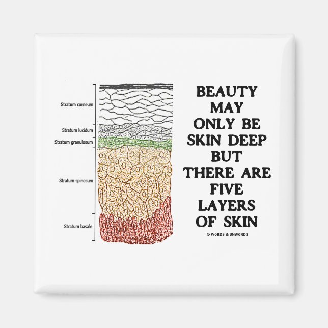 Beauty May Be Skin Deep But Five Layers Of Skin Magnet (Front)