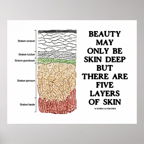 Beauty May Be Skin Deep But Five Layers Of Skin Poster