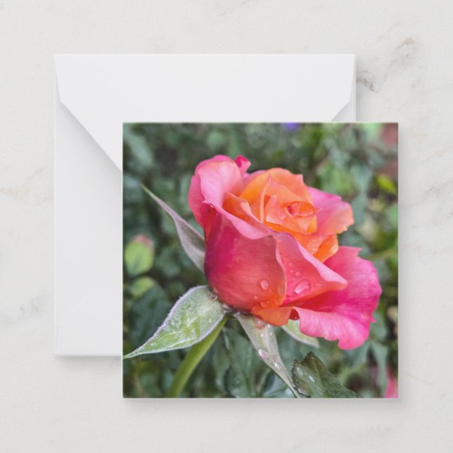 Beauty Note Card (Front)