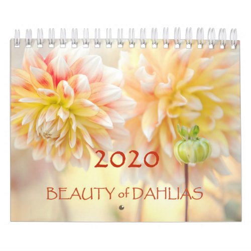 Beauty of Dahlias Flowers 2020 Calendar