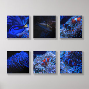 Beauty of marine life Photo Tile
