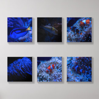 Beauty of marine life Photo Tile