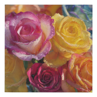 Beauty of Nature Faux Canvas Print