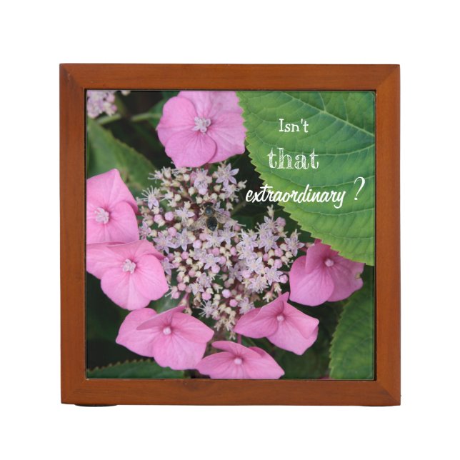 Beauty of nature meditation one Lord Desk Organizer (Front)