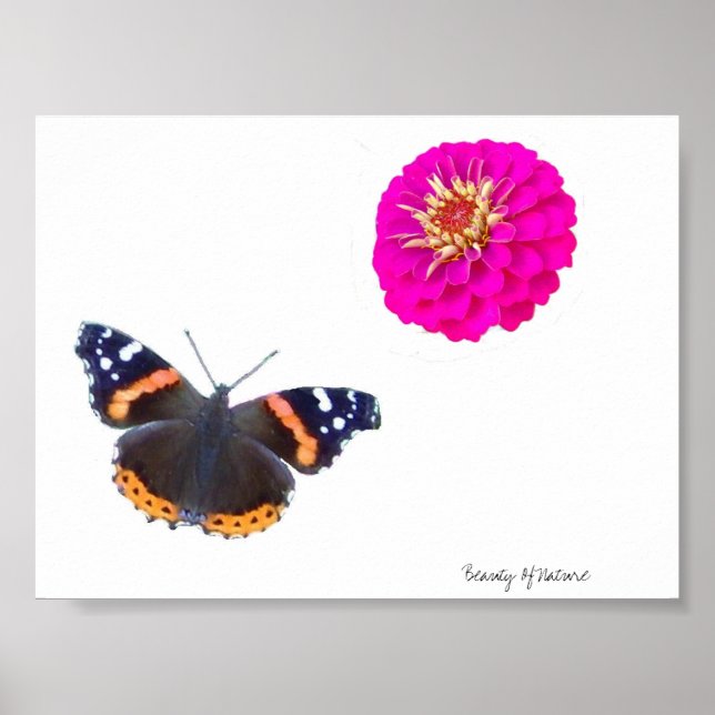 Beauty Of Nature Poster (Front)