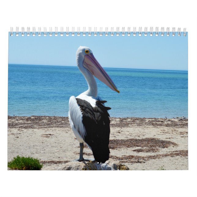 Beauty Of The Pelicans 2021, Calendar (Cover)