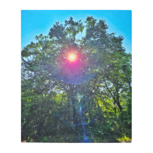 Beauty of the Sun Metal Wall Art