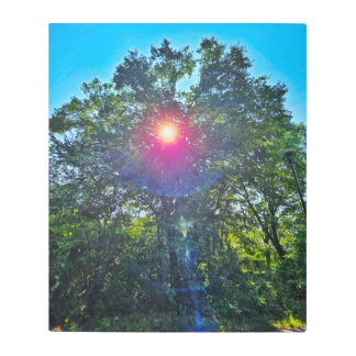Beauty of the Sun Metal Wall Art