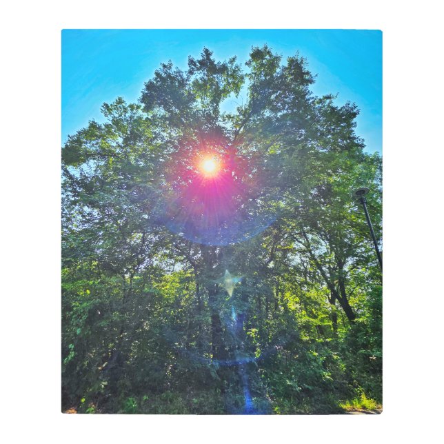 Beauty of the Sun Metal Wall Art (Front)