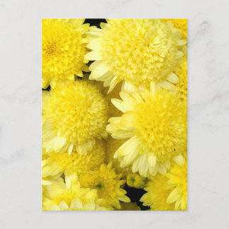 Beauty of Yellow Dahlia Flowers Holiday Postcard