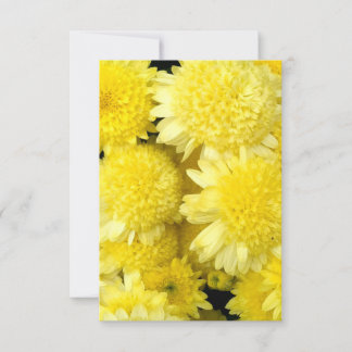 Beauty of Yellow Dahlia Flowers Thank You Card