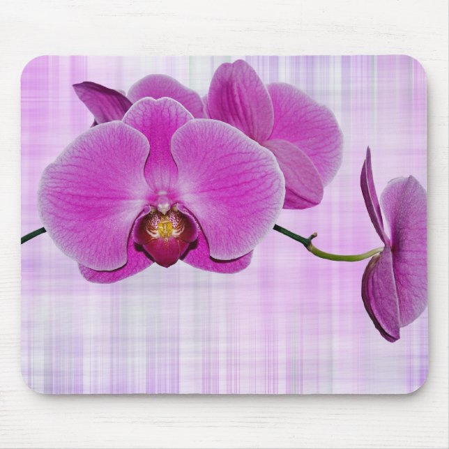 Beauty On Plaid Mouse Pad (Front)