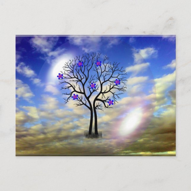 Beauty Post Card (Front)