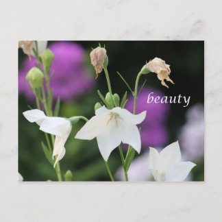beauty postcard