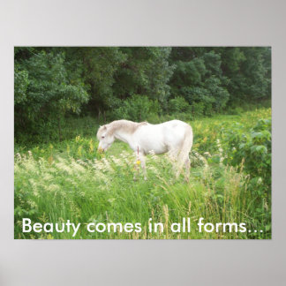 Beauty Poster