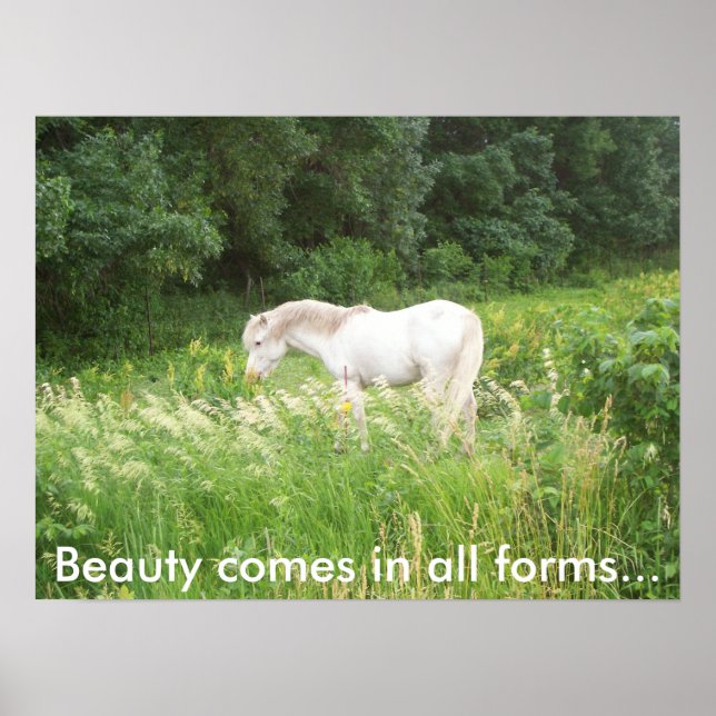 Beauty Poster (Front)