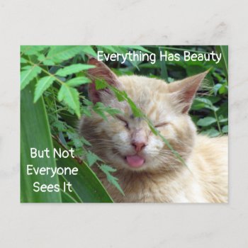Beauty Quote Postcard - Starring Beast - Cat by CatsEyeViewGifts at Zazzle