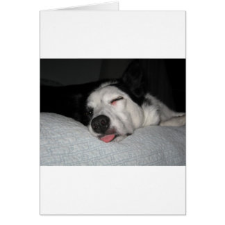 Beauty Rest Series Cards