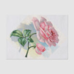 Beauty Rose Pink on Gray Tissue Paper