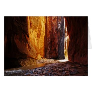 Beauty The Narrows Zion National Park Utah Blank