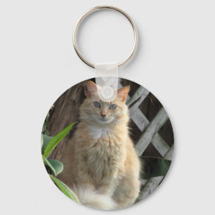 Beauty - The Prettiest Stray Cat - Key Chain