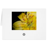 Beauty Within Cards (Back Horizontal)