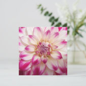 Beaux (Standing Front)