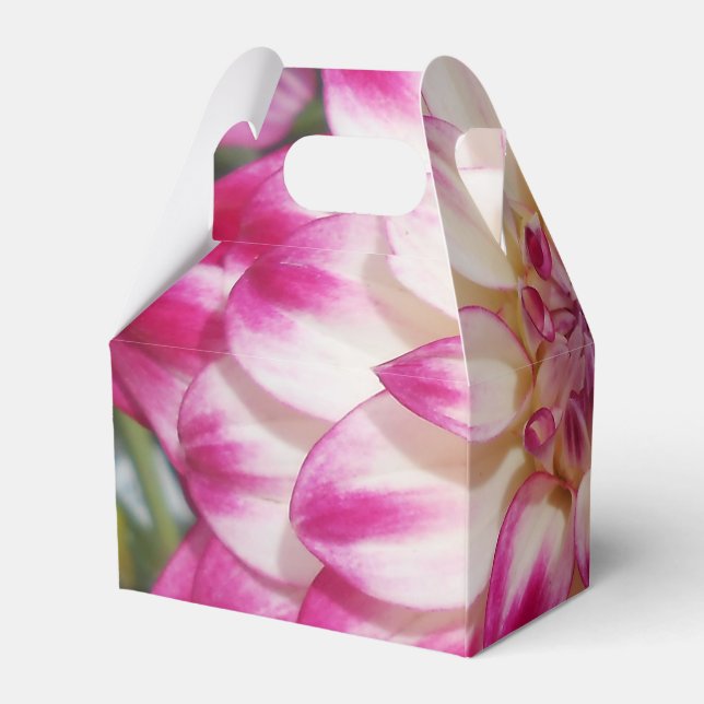 Beaux Favor Boxes (Back Side)