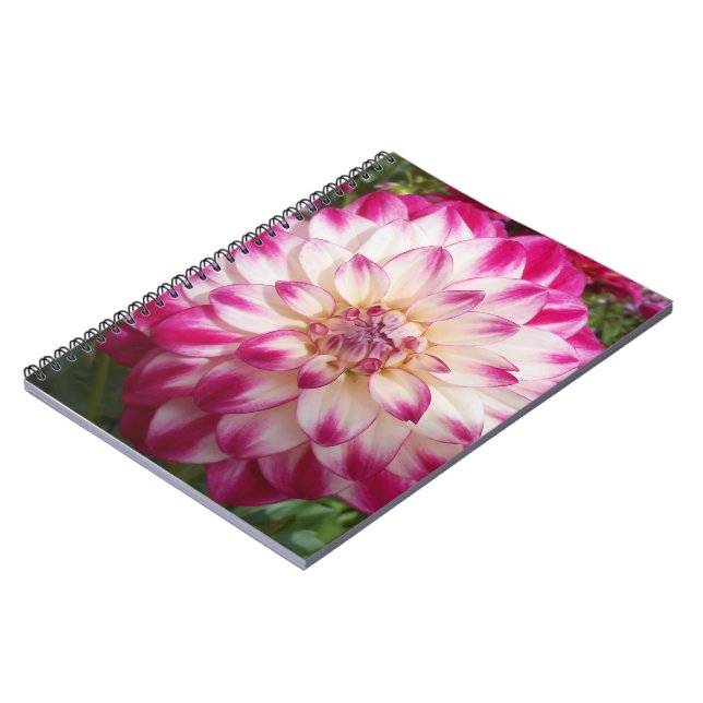 Beaux Notebook (Left Side)