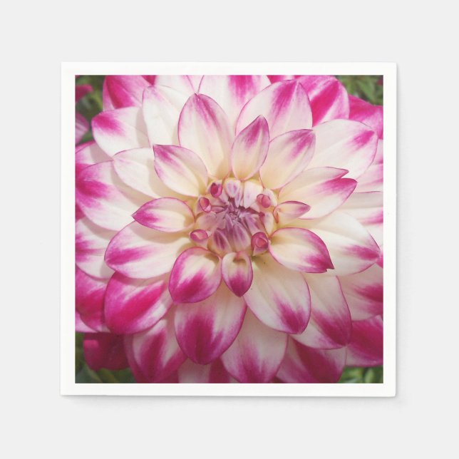 Beaux Paper Napkins (Front)